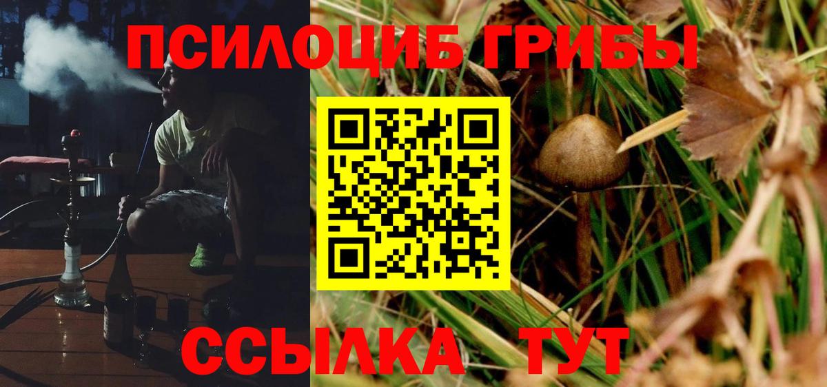 Галлюциногенные грибы Psilocybine cubensis Чернушка