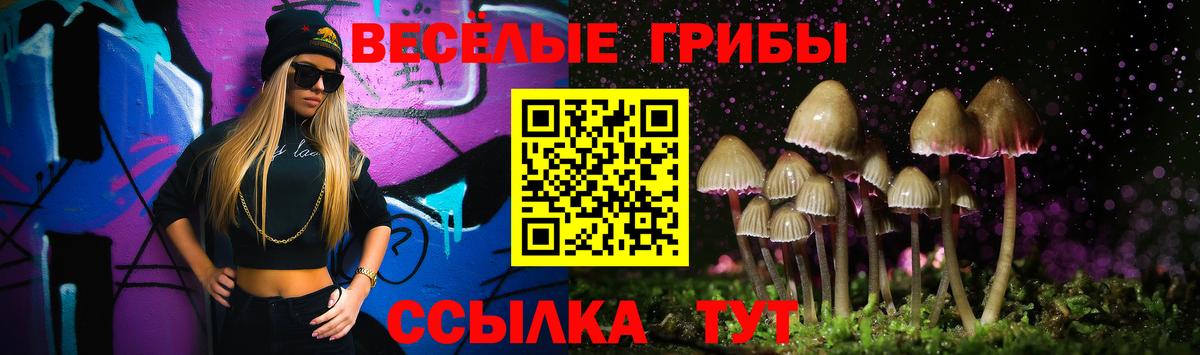 Галлюциногенные грибы Psilocybe  Вход с VPN  Чернушка  Галлюциногенные грибы ЛСД 